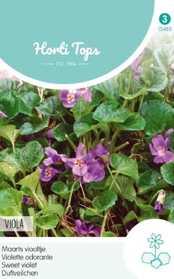 Sweet Violet (Viola odorata) 100 seeds HT